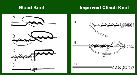 loops-knots